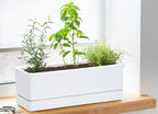 D'vine Dev 2-Pack Rectangular Planters, 12 x 4.5 in, White, 76-X-A-2 - Image 2
