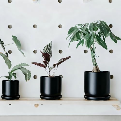 Ceramic Plant Saucer Pot Tray 6, 8, 10 Inch Black, Planter Saucers for Indoors Outdoor, Durable Sturdy Flower Drainage drip Water Tray for Glazed Pots Base - Image 3