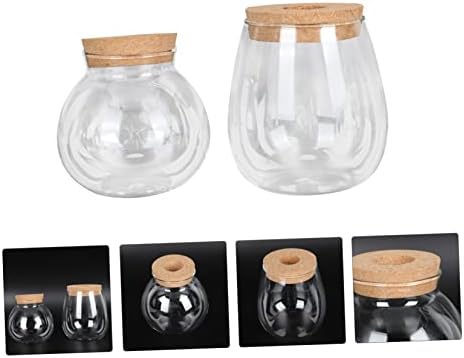 2pcs Glass Hydroponic Plant Bottle Decorative Container - Image 7