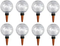 1-5Pcs Automatic Plant Watering Bulbs 500ML Self Watering Globes Planter Insert Effortless Drip Irrigation System(8PCS A) by Unknown