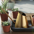 1.5L Capacity Stainless Steel Long Spout Watering Can - Image 3