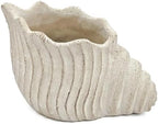 Nautilus Shell Planter, Beige - Image 2