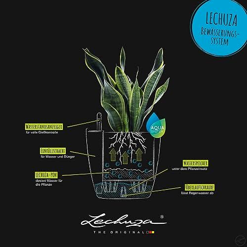 Lechuza Classico Color 21 Nutmeg, Self-Watering Small Round Planter, D8.3 H7.9 in - Image 6