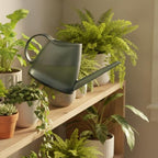 Watering Can - Image 2