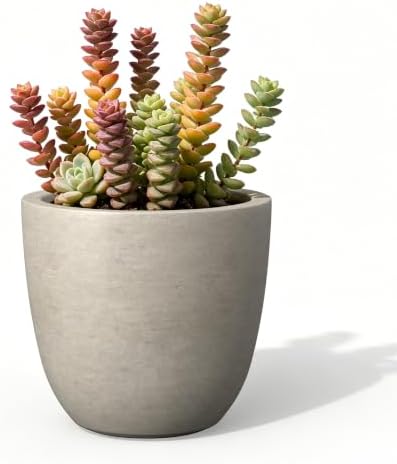 Kante Accent Round Bowl Weathered Concrete Planter 14" Dia, Outdoor by Unknown