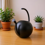 Watering Can Indoor Plants, 1L Cute Watering Pot, Metal Stainless Steel Garden Water Can with Long Spout for Indoor House Plants Bonsai Outdoor Garden Flower Decorative - Image 7