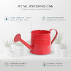 Metal Watering Can, 1 Liter Iron Vessel for Indoor Plants and Houseplants (1 PC) - Image 5