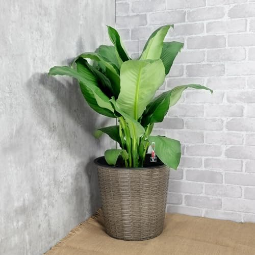 2-Pack Self-Watering Wicker Planters, 13.4 Inch, Gray - Image 2
