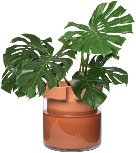Phoenix Vine 10 Inch Self Watering Planter Pot, Terracotta Clay Pot with Glass Reservoir for Indoor Plants, Herbs, Flowers, Set of 1, 52-A-I-1 by Phoenix+Vine