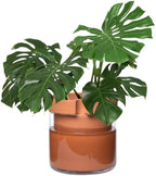 Phoenix Vine 10 Inch Self Watering Planter Pot, Terracotta Clay Pot with Glass Reservoir for Indoor Plants, Herbs, Flowers, Set of 1, 52-A-I-1 by Phoenix+Vine