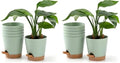 Plant Pots 6 PCS 5 inch Self Watering Planters High Drainage Flowers Pot for Indoor Outdoor Plants with Reservoir Tray and Watering Lip Gardening Planter Garden Flower Pots, Green (Pack of 2) by Qaobo