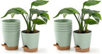 Plant Pots 6 PCS 5 inch Self Watering Planters High Drainage Flowers Pot for Indoor Outdoor Plants with Reservoir Tray and Watering Lip Gardening Planter Garden Flower Pots, Green (Pack of 2) by Qaobo