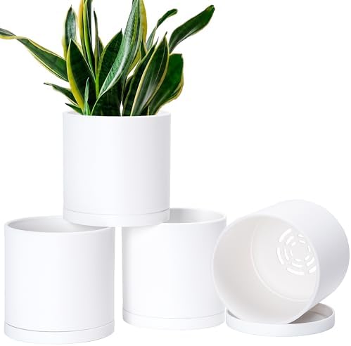 D'vine Dev 4-Pack White Plastic Planters with Saucers, 6.5 in, 74-Z-L-2 by DvineDevPlanterPotsandStand