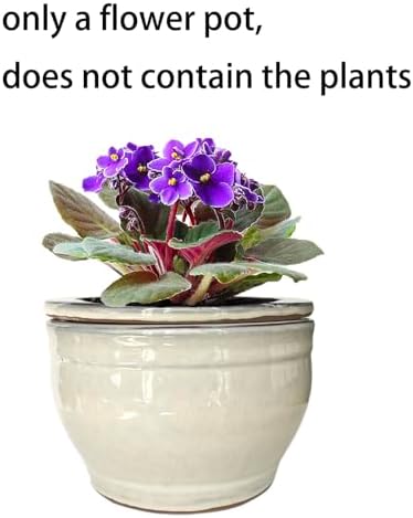 African Violet Pots Self Watering White 6 inch - Image 6