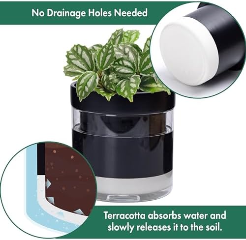Phoenix Vine 6 Inch 4 Inch Self Watering Terracotta Planter, Black Terracotta Clay Pot with Glass Reservoir for Indoor Plants, Herbs, Flowers, 52-C-G-46 - Image 5