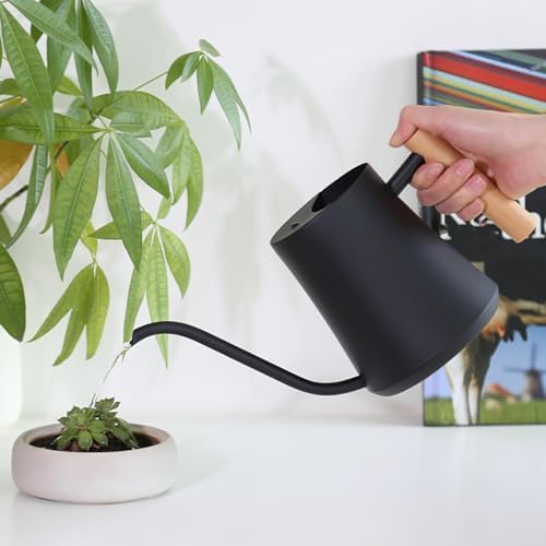 1L Watering Can Indoor Plants, Stainless Steel Watering Can Plant Waterer with Long Spout and Wood Handle for House Bonsai Garden Flower Decorative (Matte Black) - Image 6