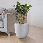 Kante Small Round Bowl White Concrete Planter 10" Dia, Outdoor - Image 3