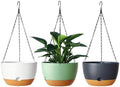 Hanging Planters, 3 Pack, Self-Watering, 10 Inch, Multicolor by Unknown