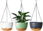 Hanging Planters, 3 Pack, Self-Watering, 10 Inch, Multicolor by Unknown
