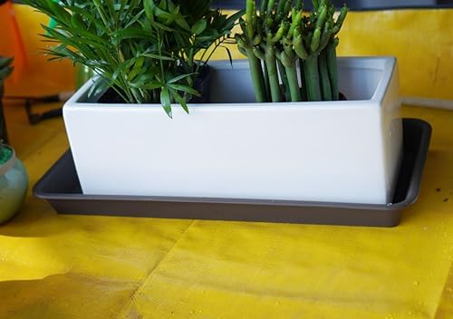 VUWEZ 6 Pack of Plastic Plant Tray Saucer Rectangular 14 inch, Plant Trays Saucers for Indoors Outdoor, Plant Water Drip Tray for Flower Pot Planter, Windowsill Plant Tray (6.8 X 14.5'', Brown) - Image 6