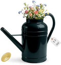 ‌2.3-Gallon Metal Watering Can,8.7L Galvanized Watering Can for Outdoor Plants with Removable Long Golden Spout by LONGRUNHOME