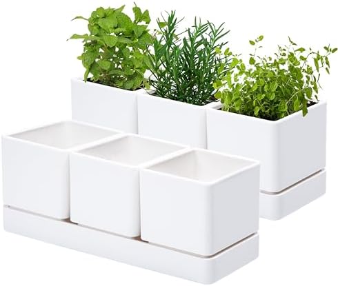 D'vine Dev 2-Pack Plastic Herb Garden Planter Set, White, 76-V-A-2 by DvineDevPlanterPotsandStand