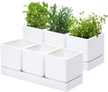 D'vine Dev 2-Pack Plastic Herb Garden Planter Set, White, 76-V-A-2 by DvineDevPlanterPotsandStand