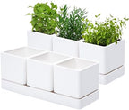 D'vine Dev 2-Pack Plastic Herb Garden Planter Set, White, 76-V-A-2 by DvineDevPlanterPotsandStand