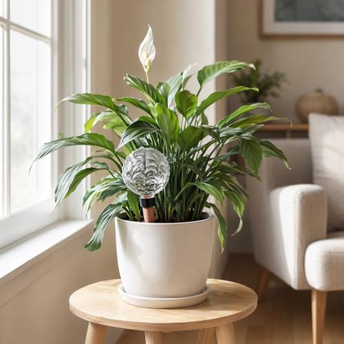 Self Watering Globes Plastic Ball Automatic Plant Waterer (Style 6) - Image 4