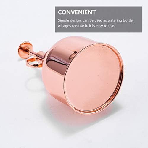 Vintage Plant Watering Bottle 300ml with Pump Stainless Steel - Image 5