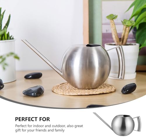 Stainless Steel Watering Can with Long Spout, 1l Indoor Gardening Kettle for Succulent Plants and Bonsai, Sturdy Bottle for Watering Flowers and Houseplants - Image 3