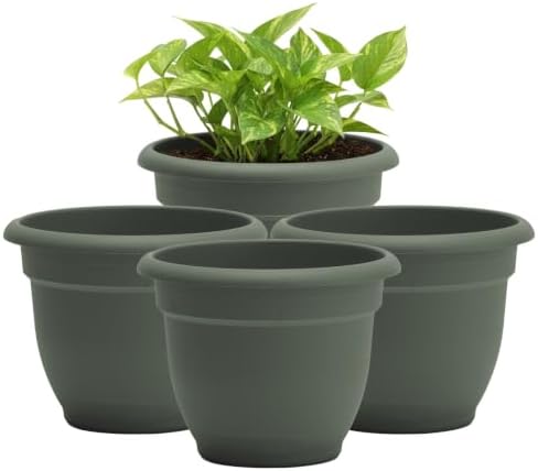 Bloem Ariana 10" Plastic Self-Watering Planter, Basil, 4-Pack by Bloem