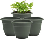 Bloem Ariana 10" Plastic Self-Watering Planter, Basil, 4-Pack by Bloem
