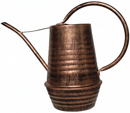 Long Spout Watering Can Rust-Resistant Garden Tool Ergonomic Handle Sprinkling Pot for Home, Color to 3 by Unknown