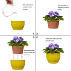Self Watering Pot for African Violets Indoor Outdoor Plants, 6 inch, Yellow - Image 4