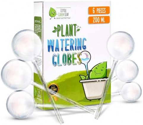 Plant Watering Globes 6 Pack – Self Watering Bulbs, Whole-Home Medium Set by LittleGreenLeaf