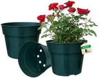 RooTrimmer 50 Pack 6 Inch Nursery Pots, Planting Grow Plastic Flower Pots, Thick Planters with Drainage Holes for Outdoor/Indoor Plants Succulent Herb (Green) by RooTrimmer
