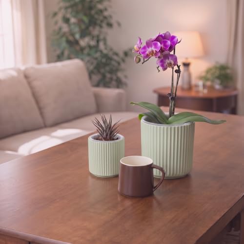 Large Ceramic self Watering Pot for houseplant,6.4inch&4 inch,Green - Image 5