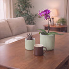 Large Ceramic self Watering Pot for houseplant,6.4inch&4 inch,Green - Image 5