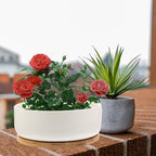 VILLCASE White Ceramic Small Bonsai Pots with Tray, Round Succulent Planter Pot for Home and Balcony, Designed to Collect Excess Water and Prevent Over-Watering - Image 5