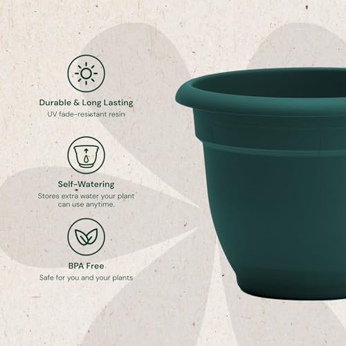 Bloem Ariana 8" Plastic Self-Watering Planter, Charleston Green, 4-Pack - Image 4