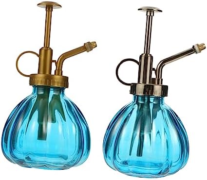 Vintage Glass Watering Bottle 2 Pack for Plants and Flowers by Unknown
