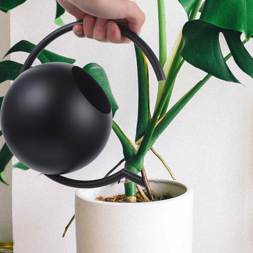 Black Stainless Steel Watering Can, 1l Thin Spout for Plants - Image 5