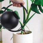 Black Stainless Steel Watering Can, 1l Thin Spout for Plants - Image 5