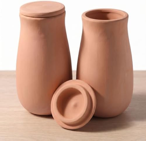 Set of 2 Large Self Watering Terracotta Pots with Lids, 44oz by LumDecor