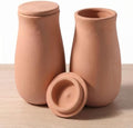 Set of 2 Large Self Watering Terracotta Pots with Lids, 44oz by LumDecor