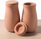 Set of 2 Large Self Watering Terracotta Pots with Lids, 44oz by LumDecor