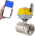 NPT 2'' Electric Ball Valve Intelligent Electric Valve DC24V Actuator/AC110V-230V Power Adapter, TUYA-APP WIFI Control Valve With Indicator and Manual Device 2-wire Automatic Return, Normally Closed by AbplagSmartMakesLifeEasier