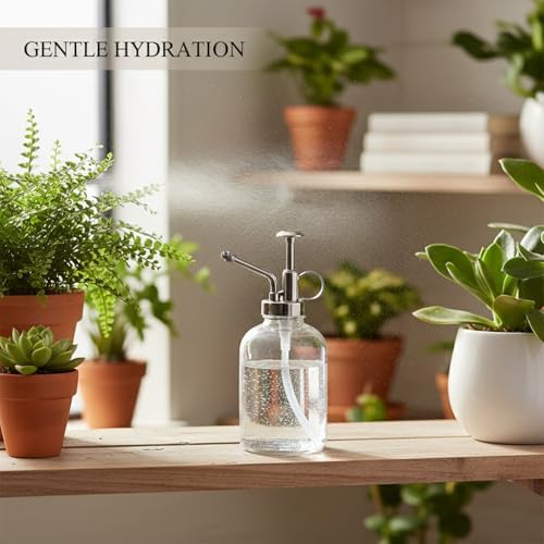 Glass Plant Mister Spray Bottle - 6.8 oz Fine Mist Nozzle for Indoor Plants, Ferns & Orchids - Durable Clear Glass Design - Image 2