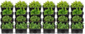 Vertical Wall Mount Planter,24 Pots Wall Garden Kit with Self Drip Irrigation Drainage Pipe for Balcony Patio Fence by KannBeki